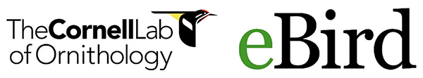 eBird logo